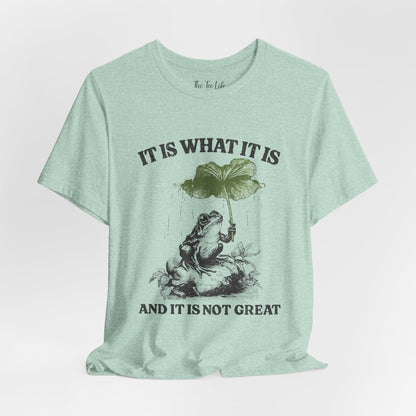 It Is What It Is Frog Tee