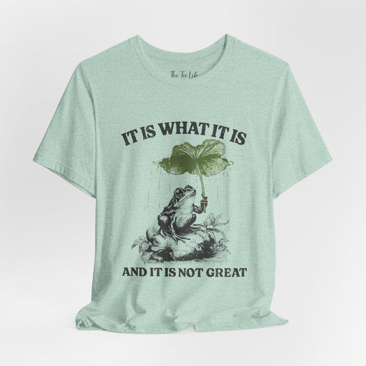 It Is What It Is Frog Tee