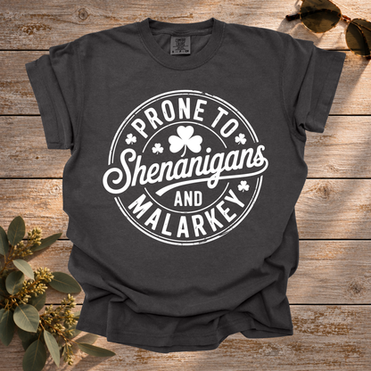 Shenanigans and Malarkey Tee