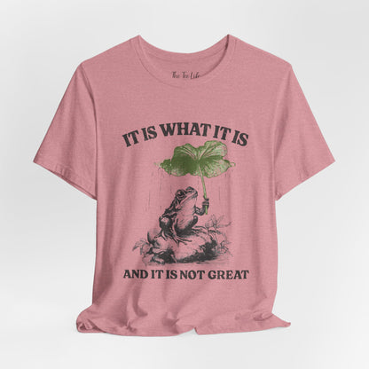 It Is What It Is Frog Tee