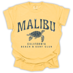 Malibu Coast