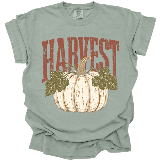 Harvest Pumpkin