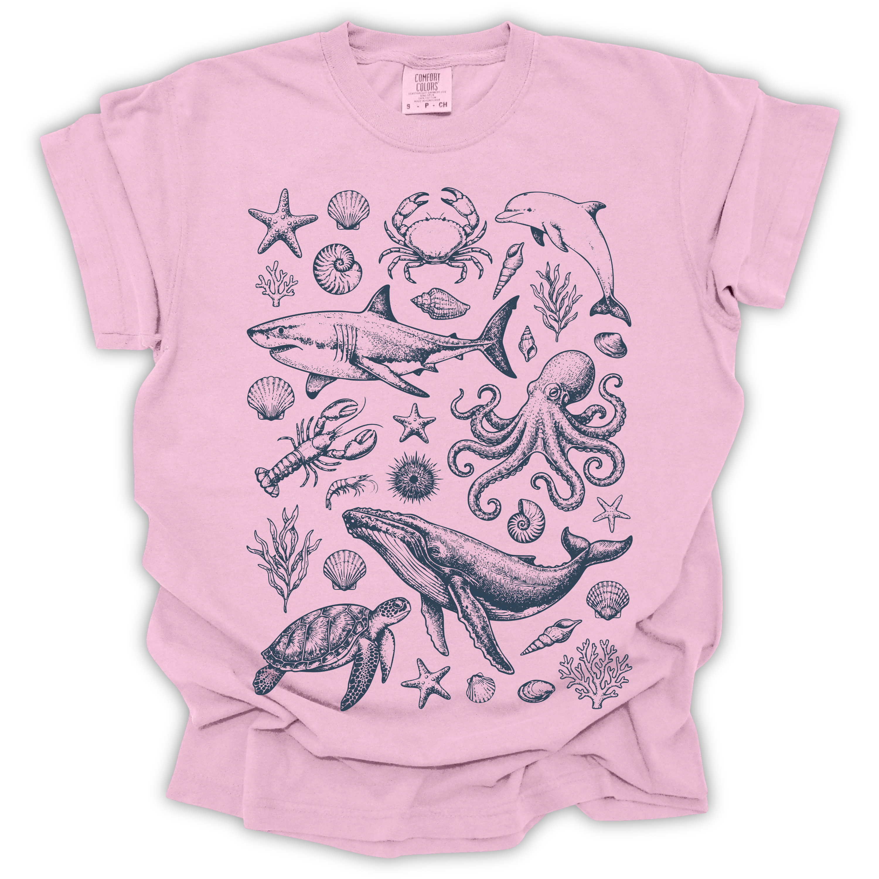 Ocean Wildlife
