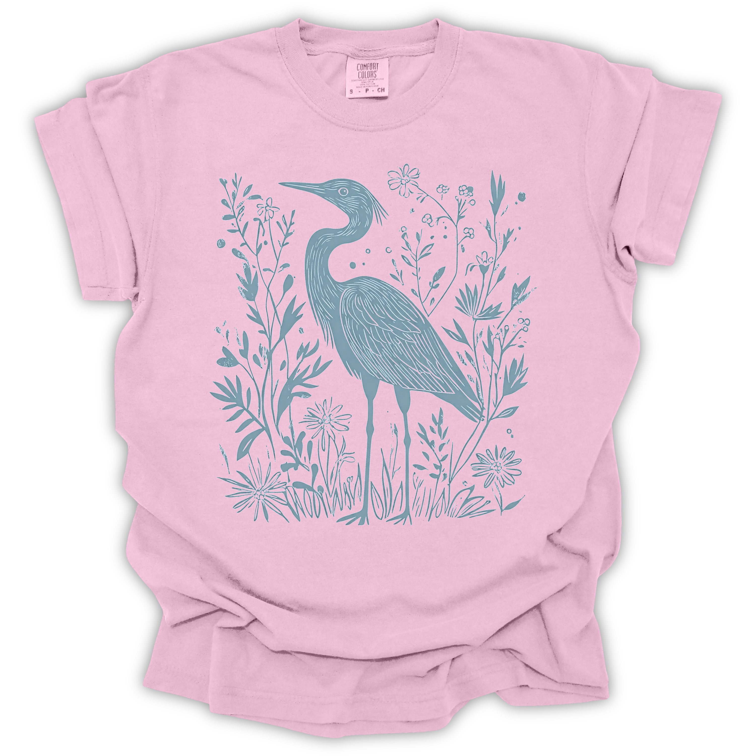 Coastal Heron