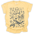 Ocean Wildlife