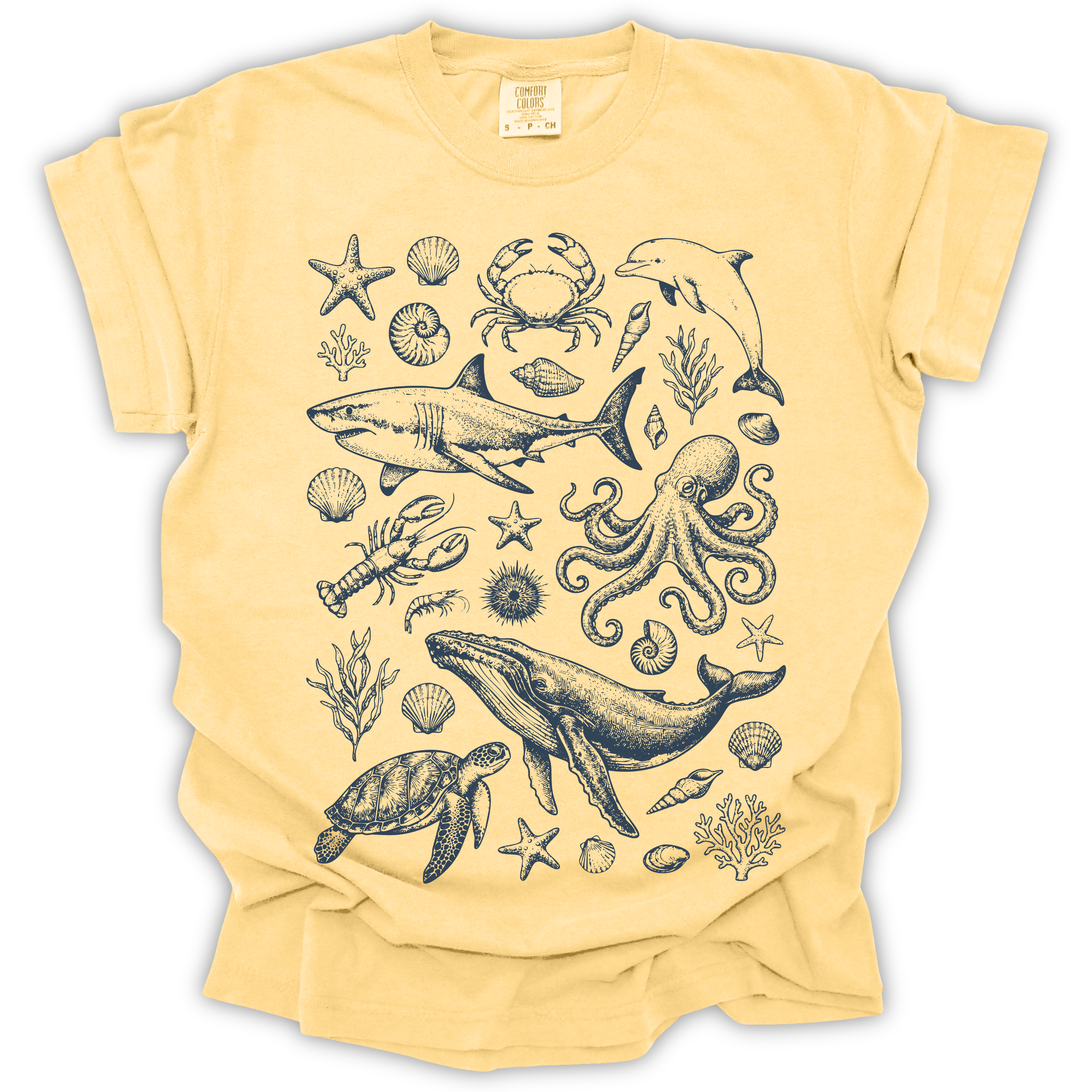 Ocean Wildlife