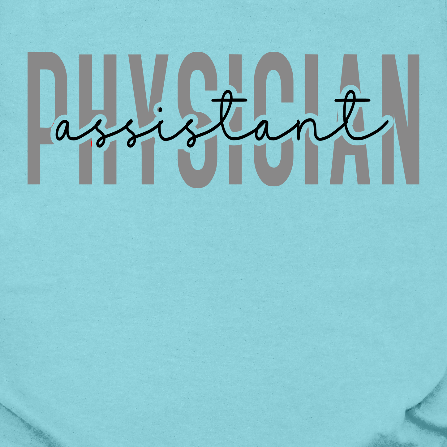 Physician Assistant