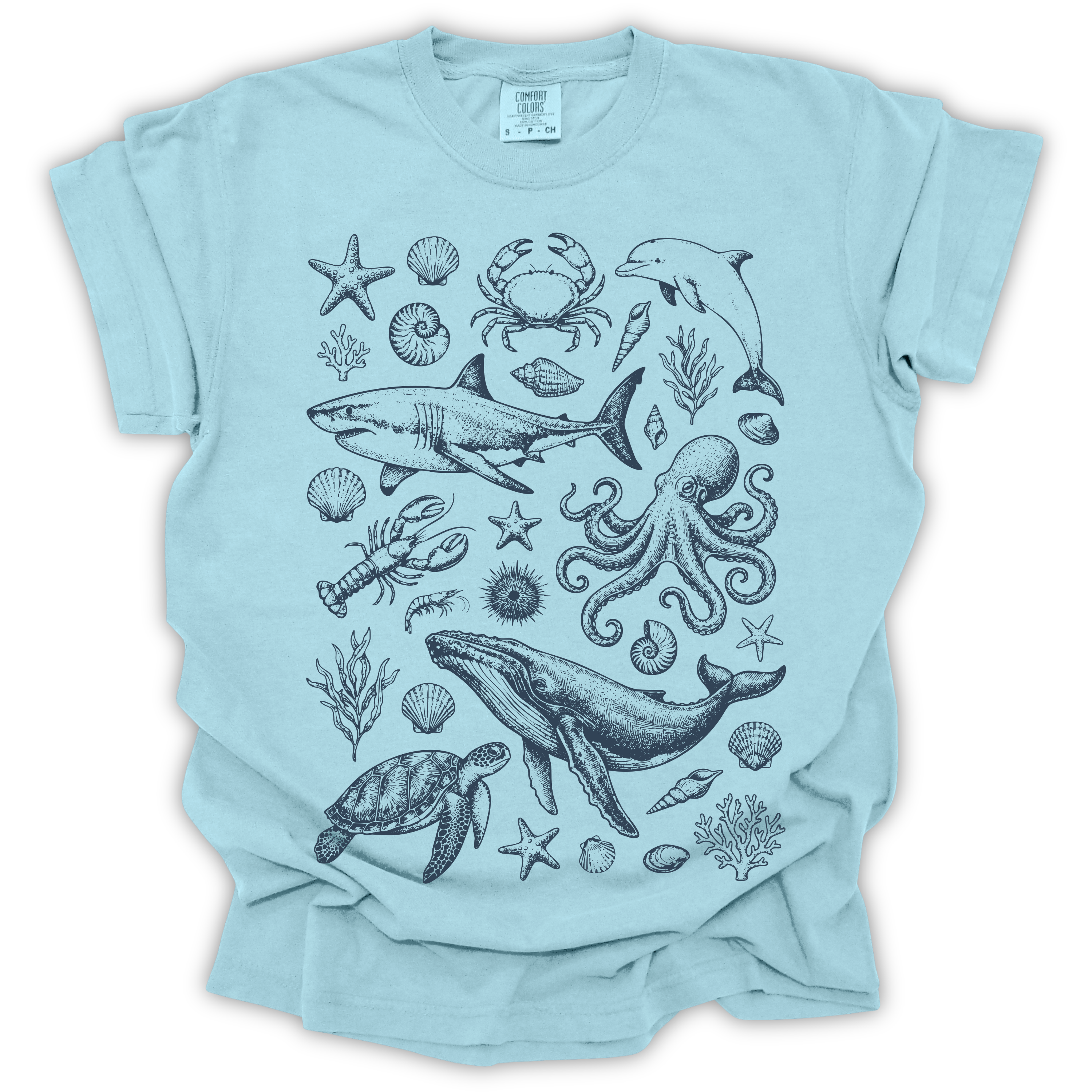 Ocean Wildlife
