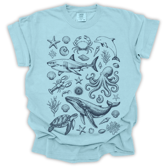 Ocean Wildlife