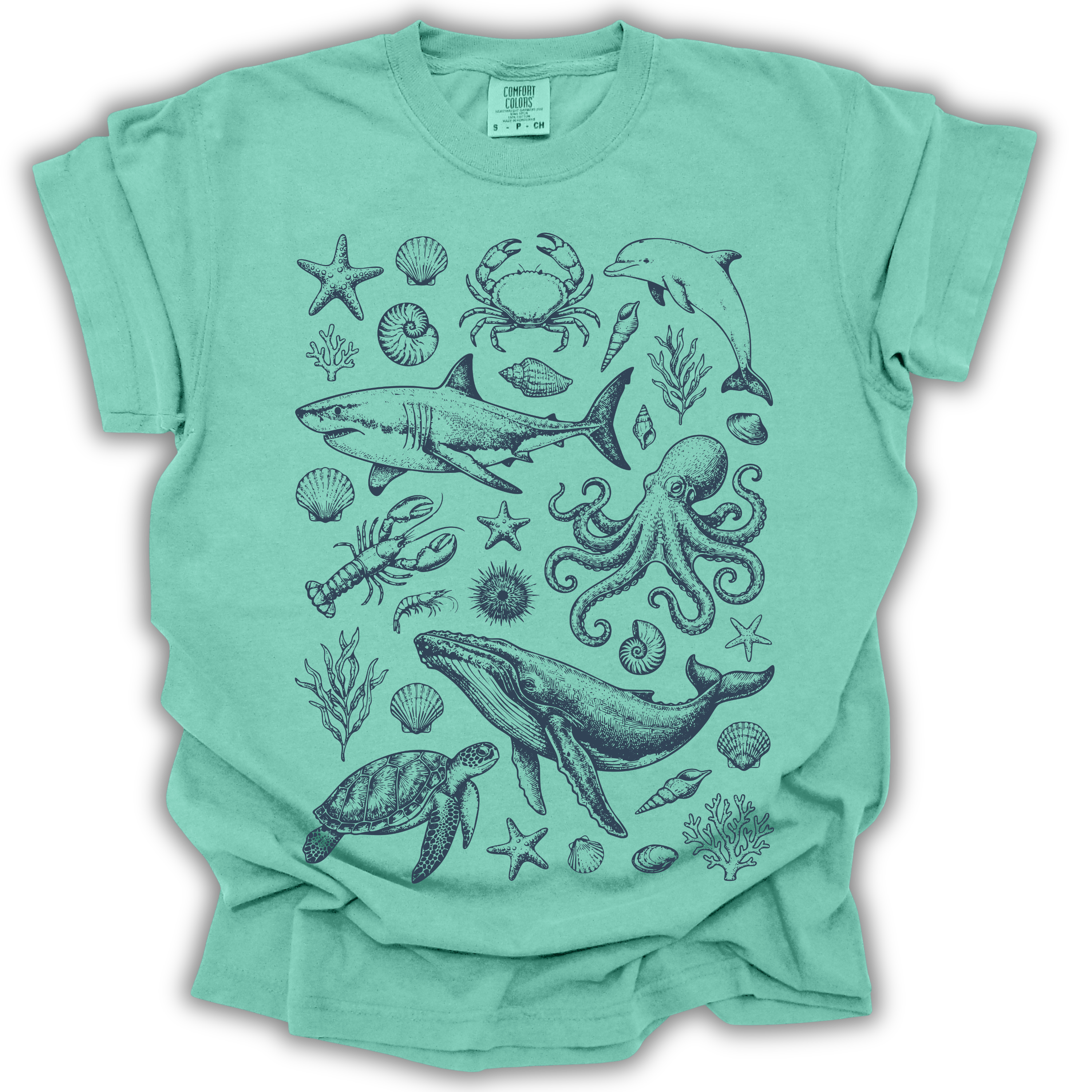 Ocean Wildlife
