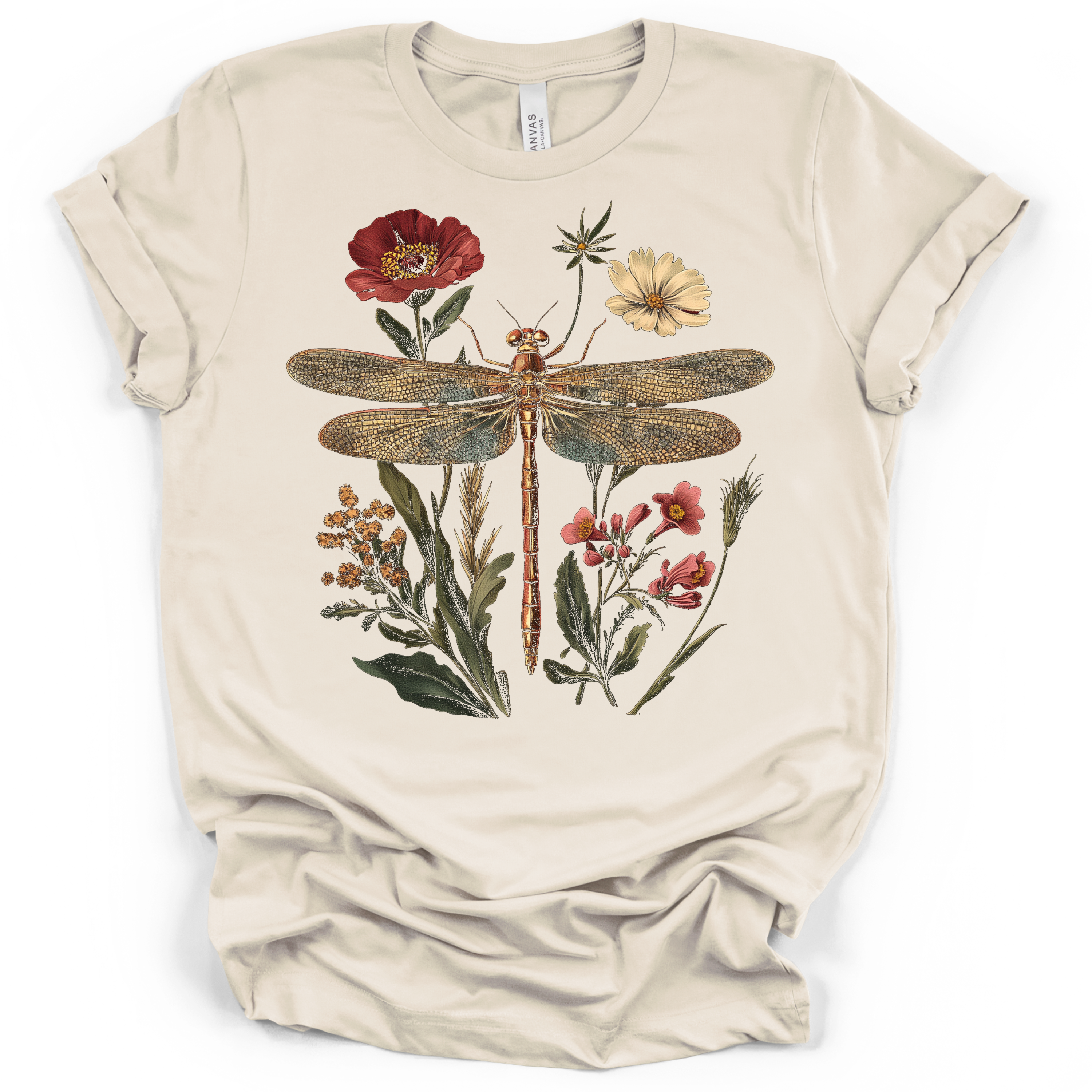 Dragonfly Bloom