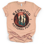 Redwood National Park Tee - Bella + Canvas Modern Fit