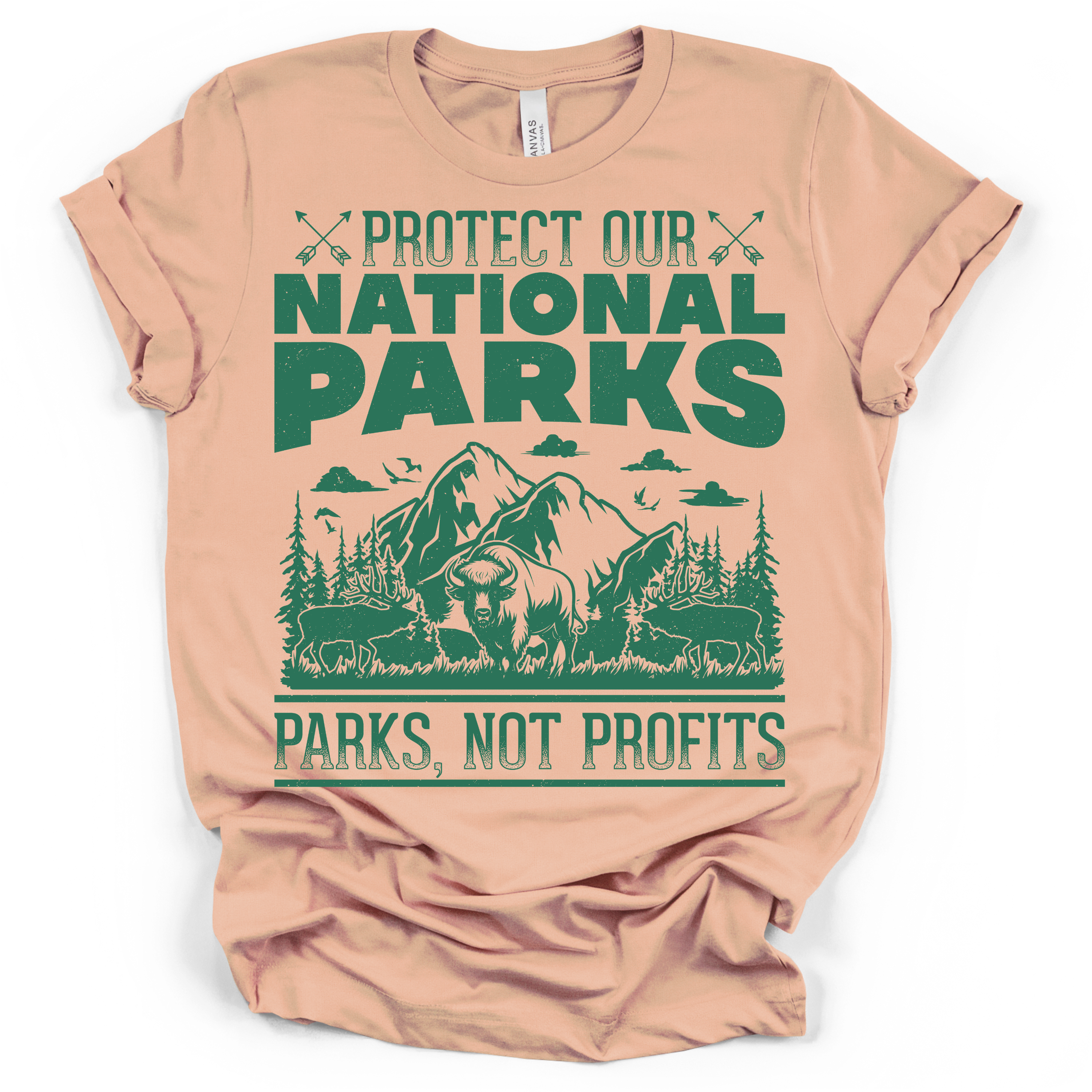 Protect Our National Parks Tee - Bella + Canvas Modern Fit
