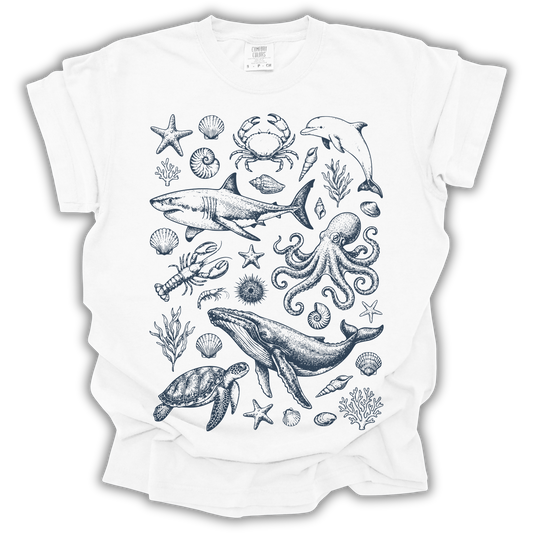 Ocean Wildlife
